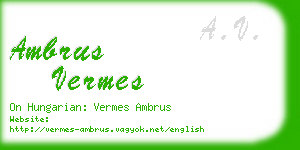 ambrus vermes business card